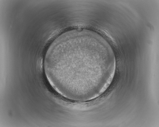 X0000115450024200912021015