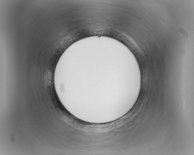 X0000115450025200912021015