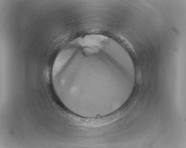 X0000115450026200912021015