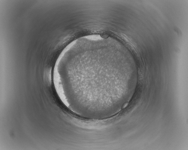 X0000115450028200912021015