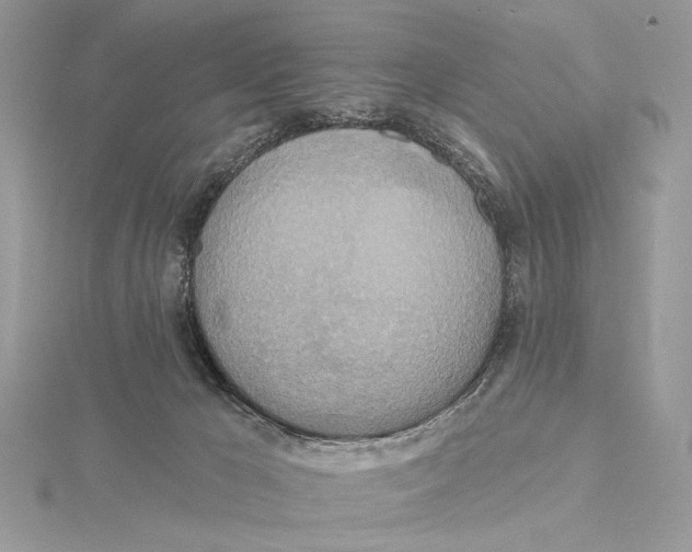 X0000115450029200912021015