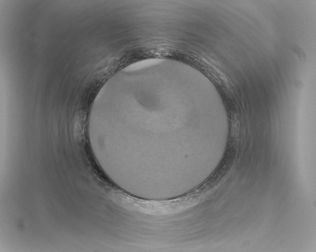 X0000115450030200912021015