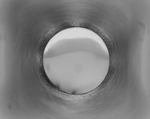 X0000115450031200912021015