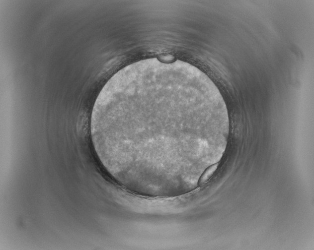 X0000115450036200912021015