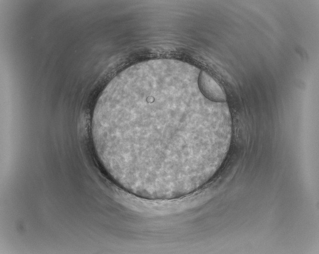 X0000115450038200912021015