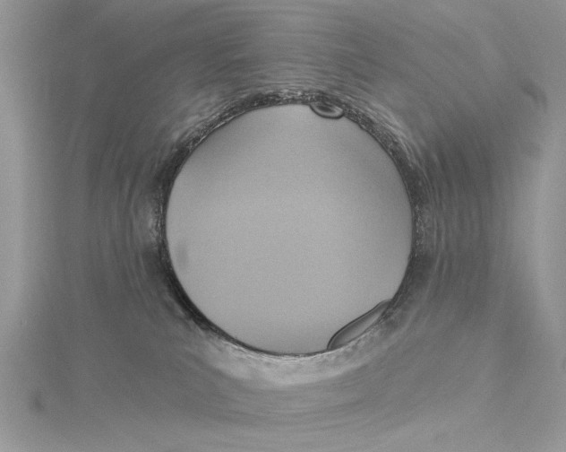 X0000115450039200912021015