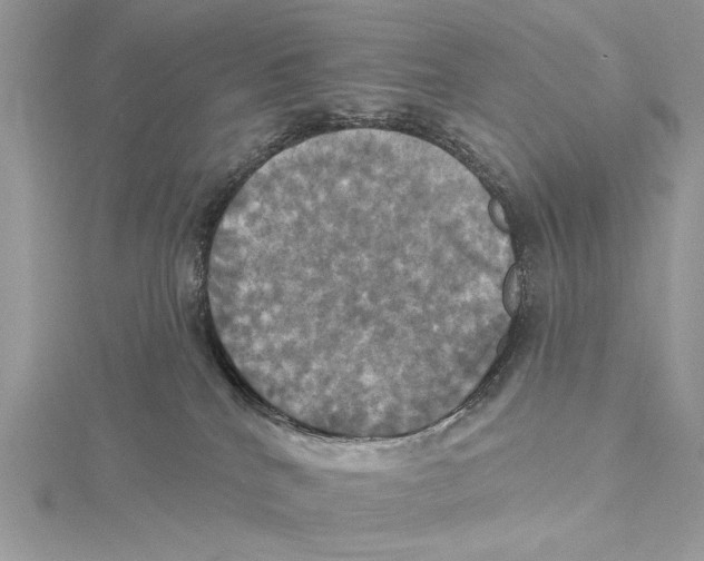 X0000115450040200912021015