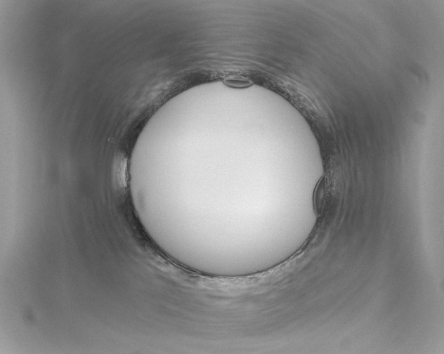 X0000115450041200912021015