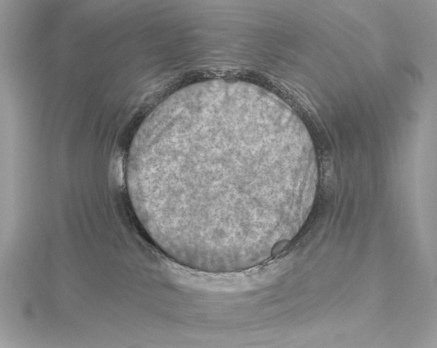 X0000115450042200912021015