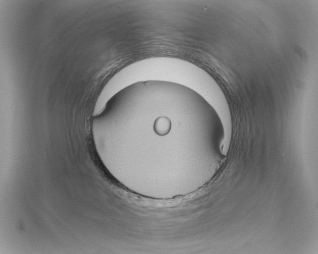 X0000115450043200912021015