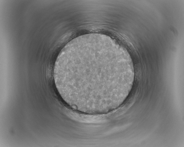 X0000115450044200912021015