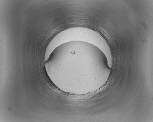 X0000115450045200912021015