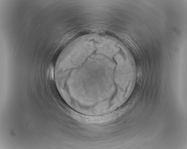 X0000115450046200912021015