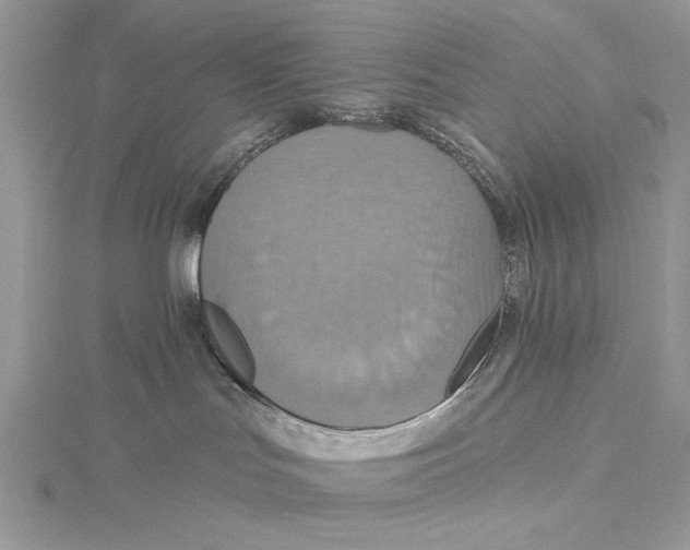 X0000115450047200912021015