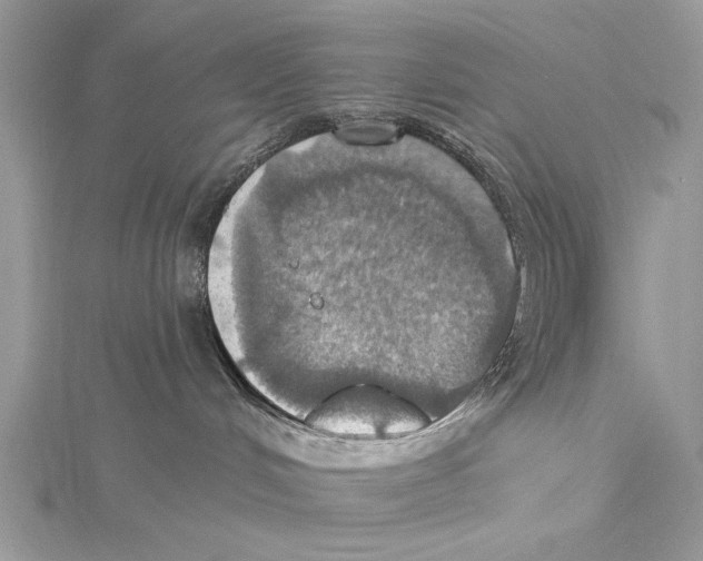 X0000115450048200912021015