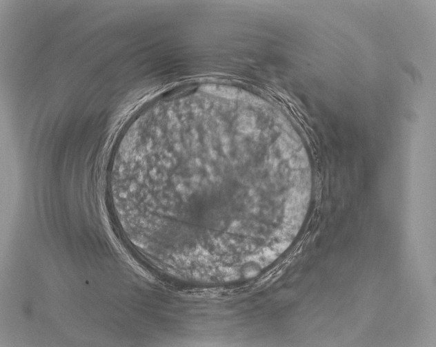 X0000115450049200912021014