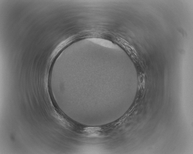 X0000115450051200912021014