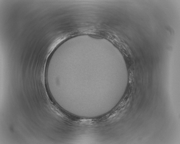 X0000115450052200912021014