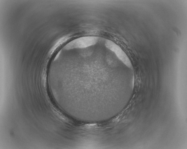 X0000115450054200912021014