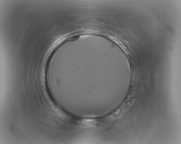 X0000115450055200912021014