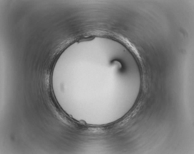 X0000115450057200912021014