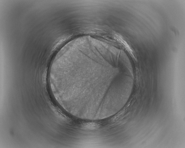 X0000115450058200912021014