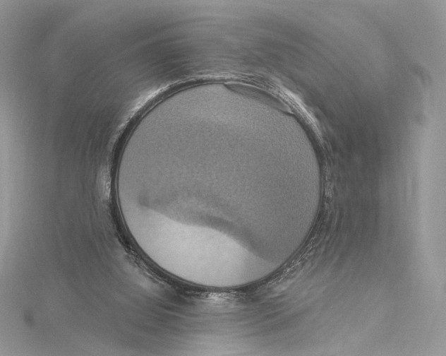 X0000115450060200912021014