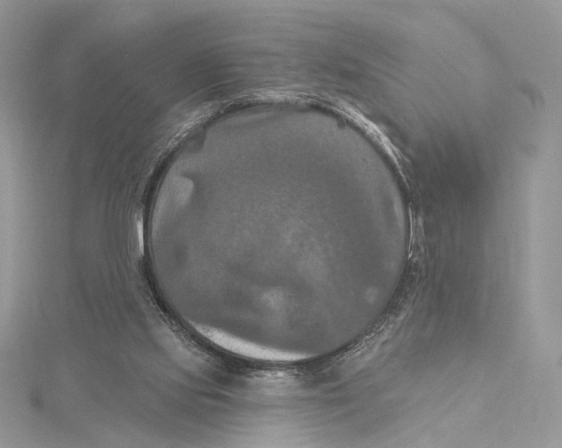 X0000115450061200912021014