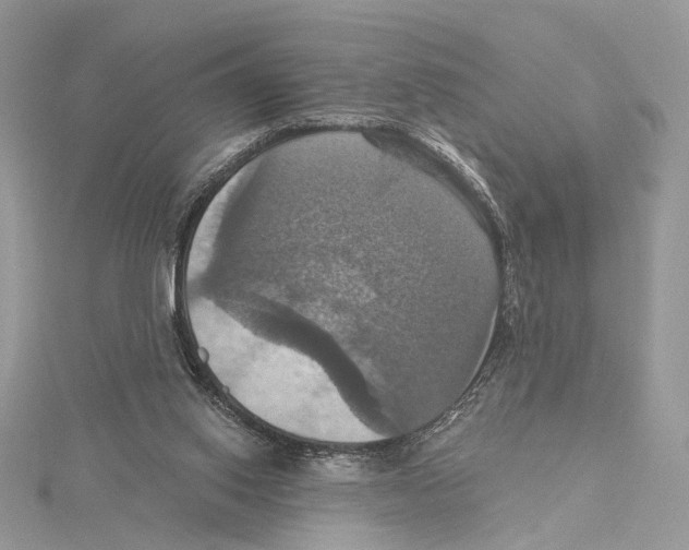 X0000115450062200912021015