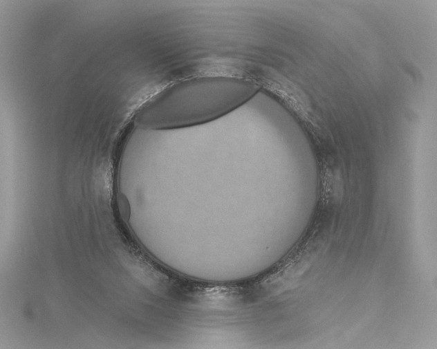 X0000115450064200912021015