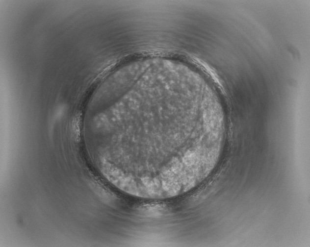 X0000115450065200912021015