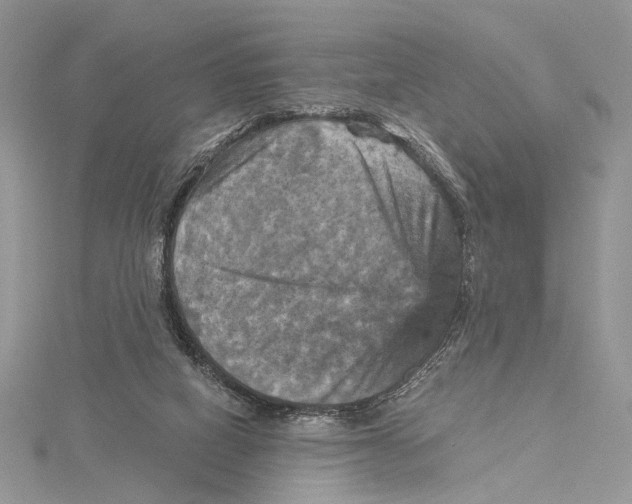 X0000115450066200912021015