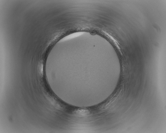 X0000115450067200912021015