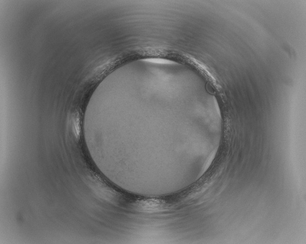 X0000115450069200912021015