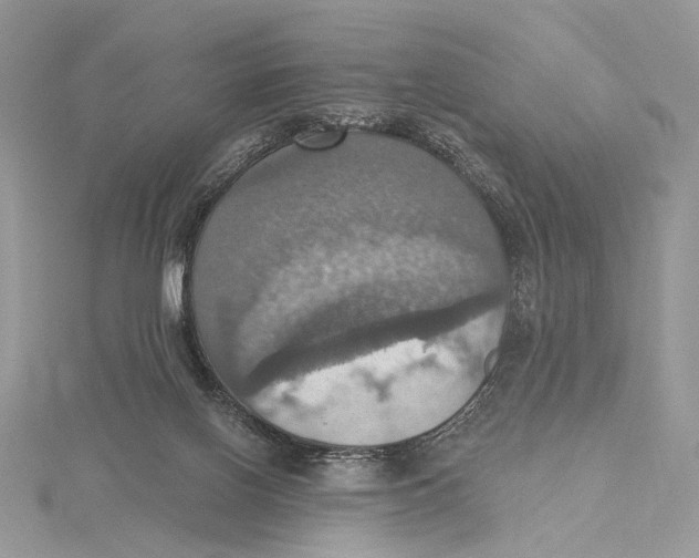 X0000115450070200912021015