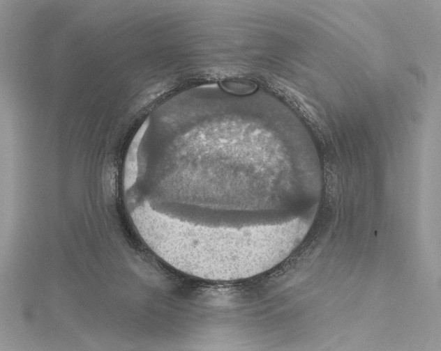 X0000115450071200912021015