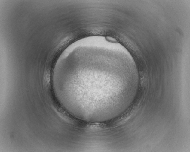 X0000115450072200912021015