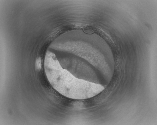 X0000115450075200912021015