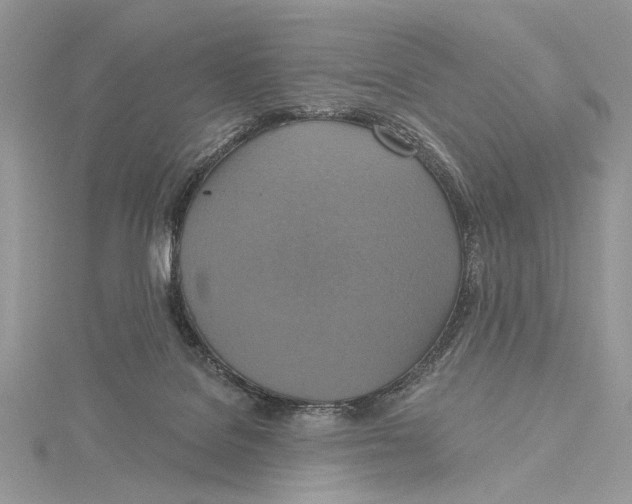 X0000115450076200912021015