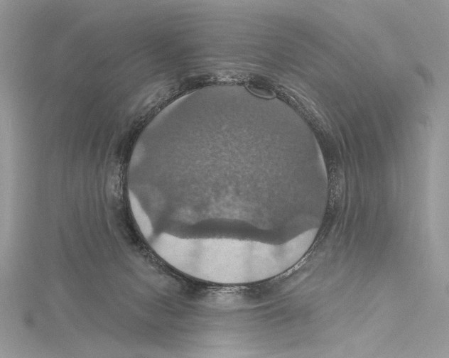 X0000115450078200912021015