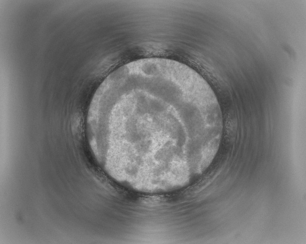 X0000115450079200912021015