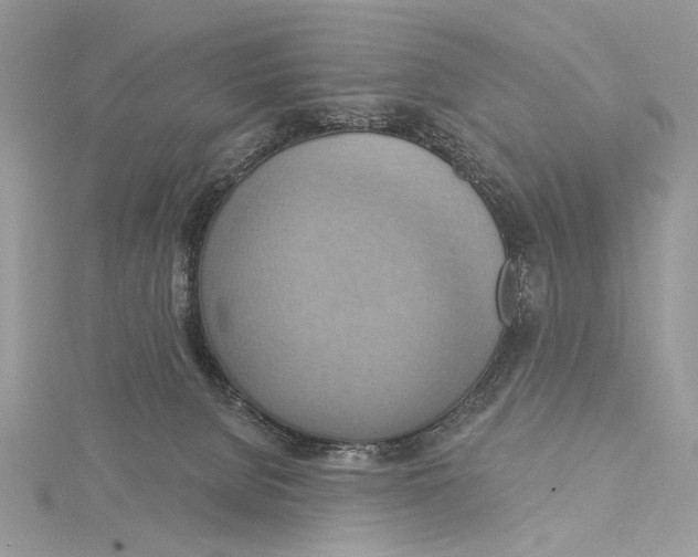 X0000115450080200912021015