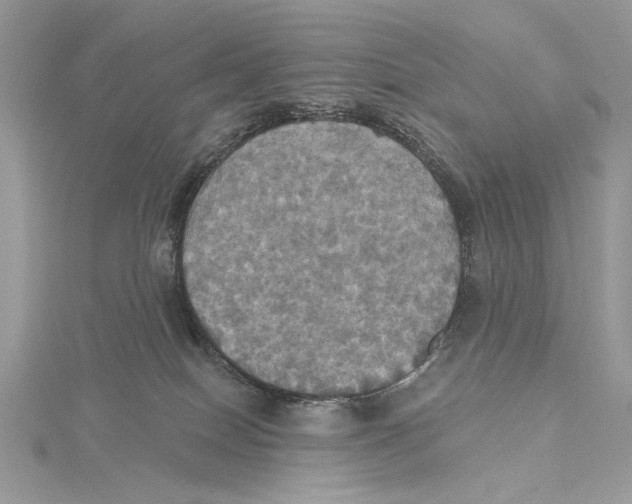 X0000115450086200912021015