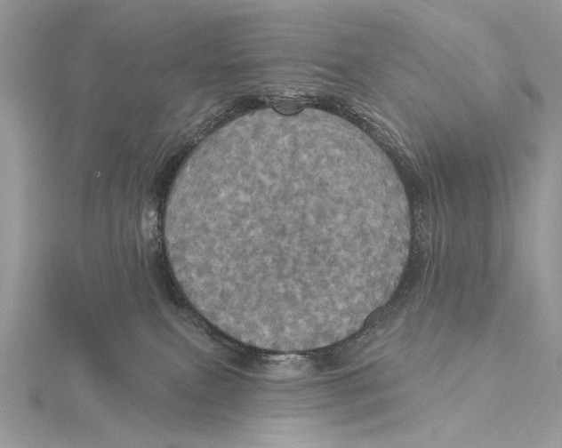 X0000115450087200912021015