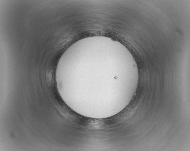 X0000115450088200912021015