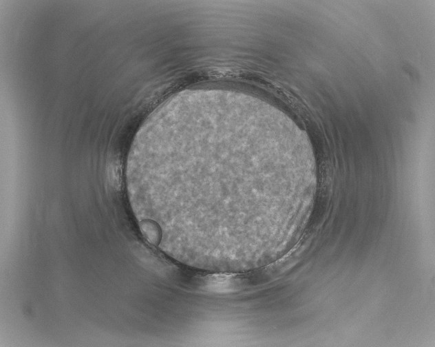 X0000115450090200912021015