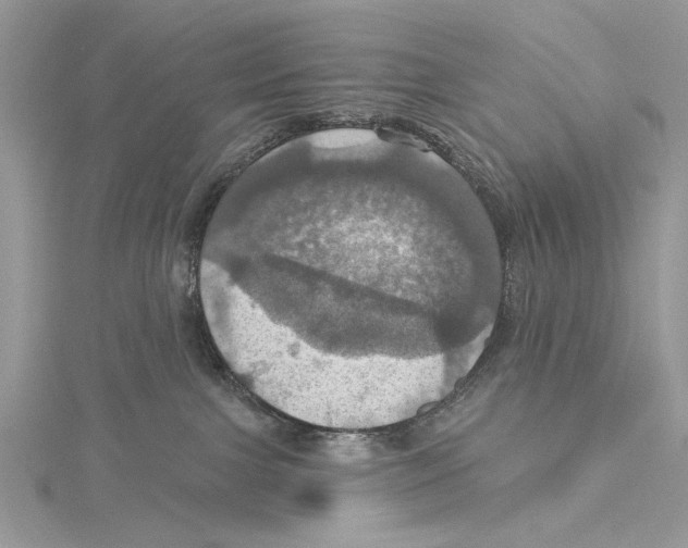 X0000115450091200912021015