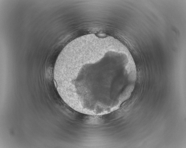 X0000115450093200912021015