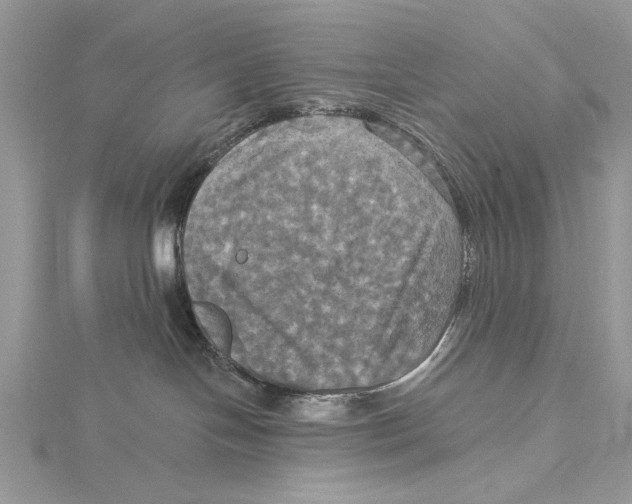 X0000115450094200912021015