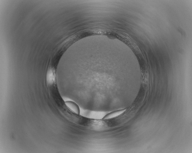 X0000115450095200912021015